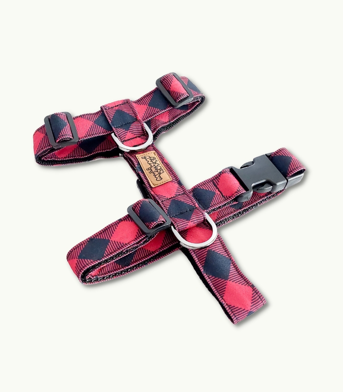 Arnes H | Red Grunge
